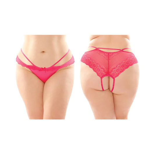 Fantasy Lingerie Posey Strappy Lace & Microfiber Crotchless Panty Q/XL